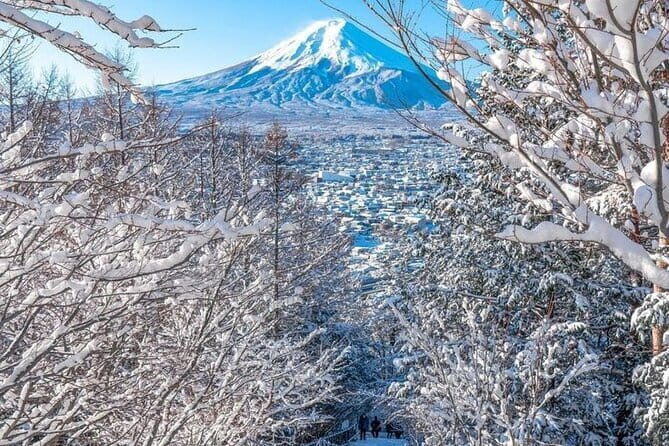Kamkura: Private Zazen, Matcha at Bamboo Temple & Mindful Cuisine - Stop 4: A local-led stroll through Kamakura streets