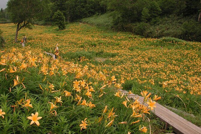 Kanazawa Day Tour: Shomyo Falls & Tateyama Mountain Walks - Who this Kanazawa tour suits best (and who might want to think twice)