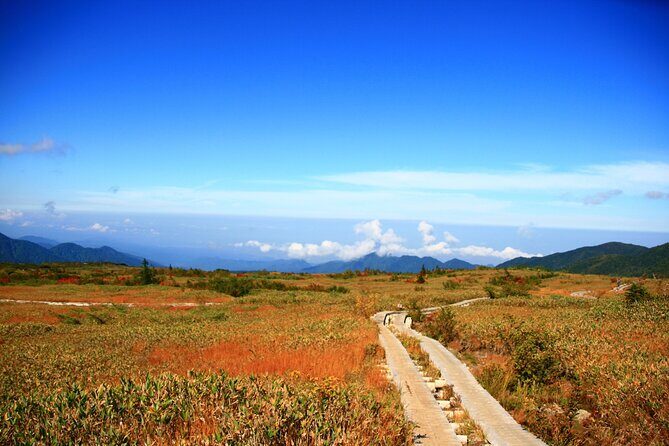 Kanazawa Day Tour: Shomyo Falls & Tateyama Mountain Walks - Tateyama Murodo Station: cafes, shopping, routes, and onsen time
