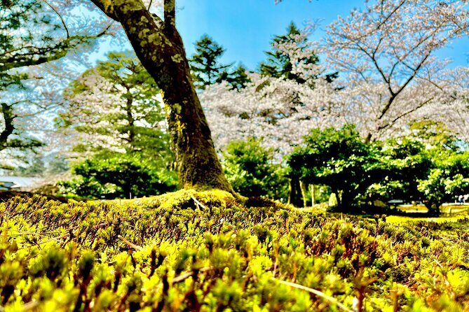 Kanazawa Full Day Private Tour to Top Highlights with Local Guide - Why a private 7-hour Kanazawa highlights route makes sense