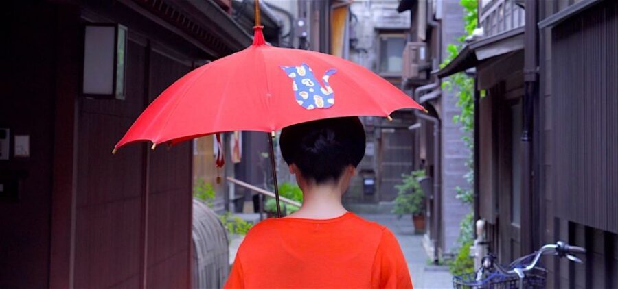 Kanazawa: Half-Day Private Guided Tour - Geisha District Walking Tour: Preserved Streets and Back Lanes