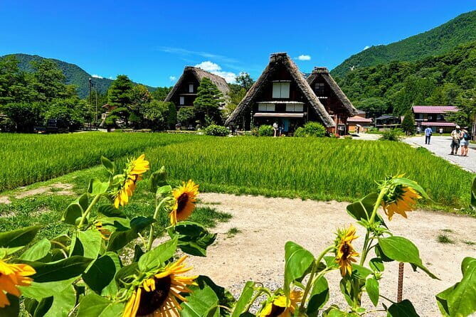 Kanazawa Night Foodie Tour (Private Option Available) - Stop 2: The Local Izakaya Feel at 2-chōme-5-8 Katamachi