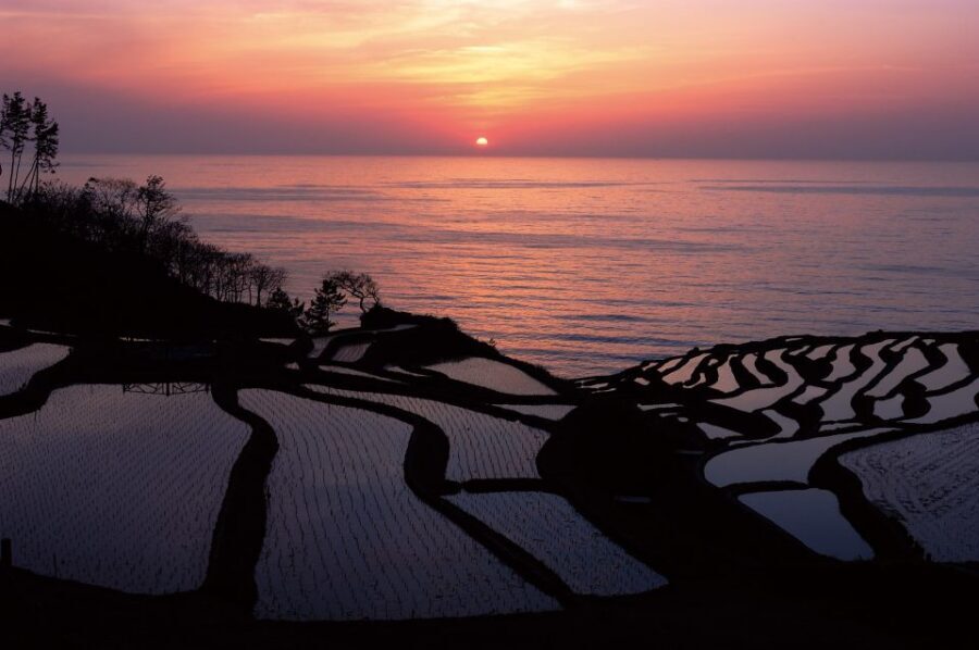 Kanazawa: Noto Peninsula Private Day-Tour - Quick hit highlights