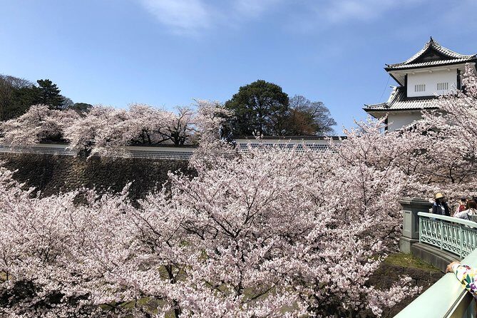 Kanazawa Private Tour: Highlights of an Old Samurai Town - Stop 5: Nomura Family Samurai House, life behind the title (about 50 minutes)