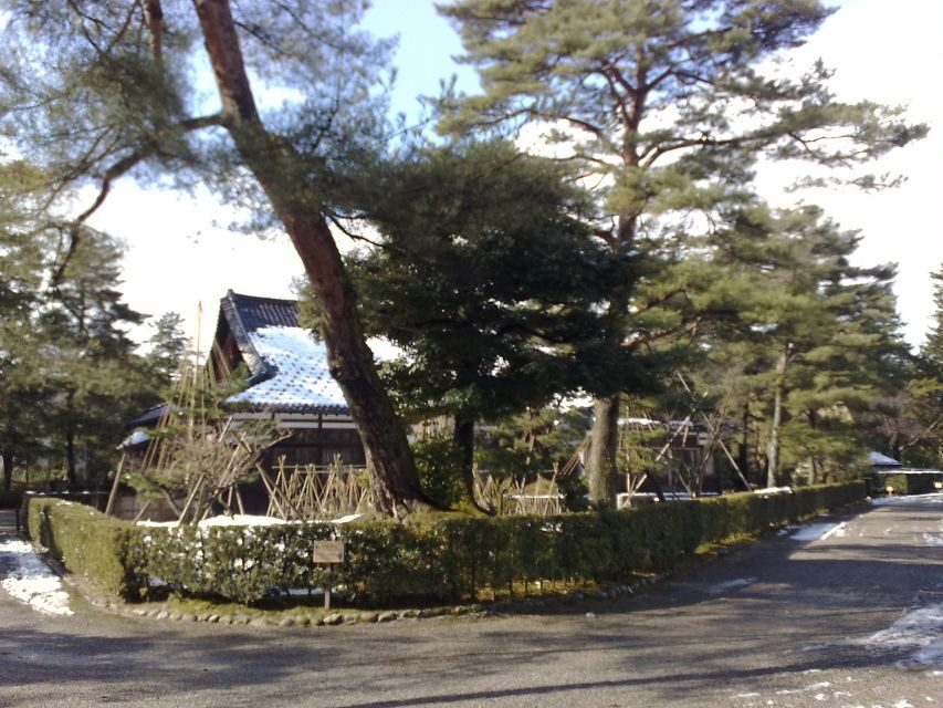 Kanazawa: Private Walking Tour with a Local - Key things that make this Kanazawa tour work so well