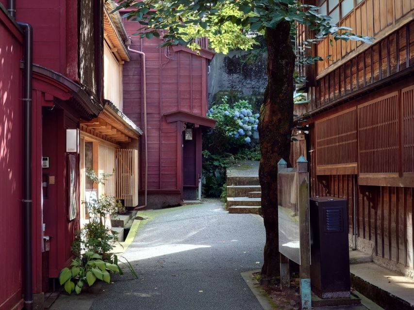 Kanazawa: Samurai, Matcha, Gardens and Geisha Full-Day Tour - Walking Realities and Weather Prep for a Full Outdoor Day