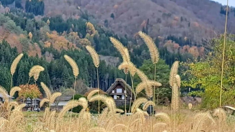 Kanazawa/Takayama: Shirakawago & Takayama Private Day Tour - Key things you should know before you go