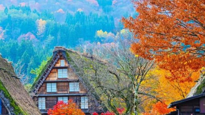 Kanazawa/Takayama: Shirakawago & Takayama Private Day Tour - Why this Shirakawa-go and Takayama private loop feels easier than public transport
