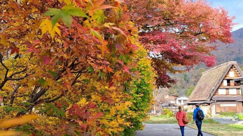 Kanazawa/Takayama: Shirakawago & Takayama Private Day Tour - Pickup timing and the 8-hour rhythm that keeps you from rushing