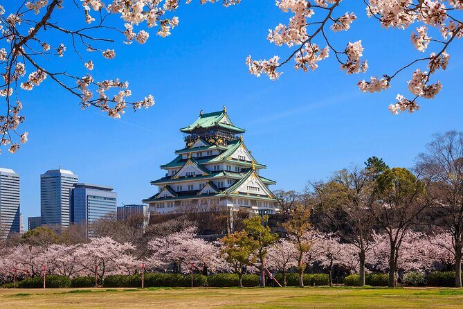 Kansai Airport (KIX) Transfer to Osaka/Kobe/Kyoto/Nara/Wakayama - Who Should Book This Transfer (And Who Might Think Twice)