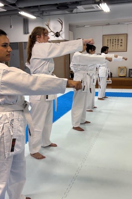 Karate Experience with the Shotokan Karate-do Instructor - Who Should Book This Shotokan Karate Session