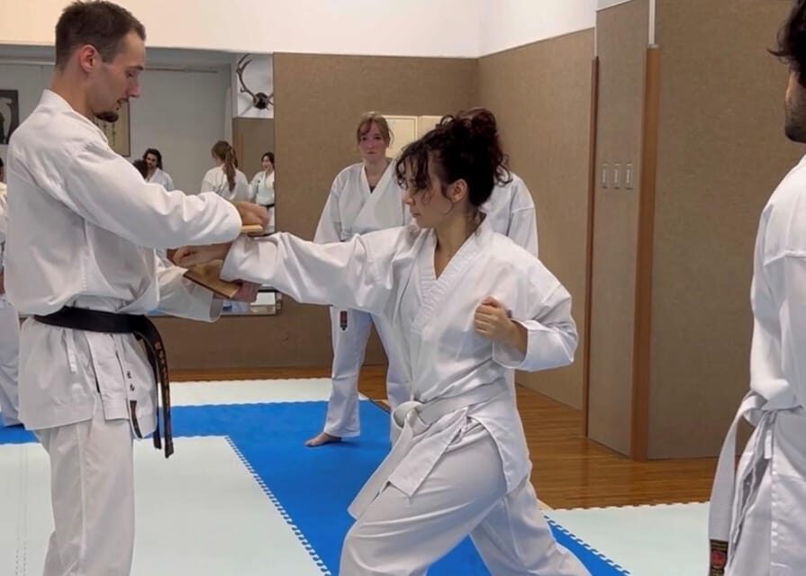 Karate Experience with the Shotokan Karate-do Instructor - Board Breaking and the Instructor Demo: The High-Impact Moments
