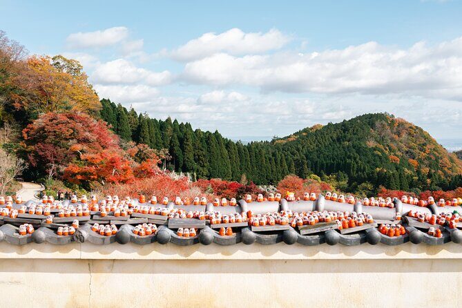Katsuo-ji Temple, Arashiyama Forest, & Nara Park - A long day trip that actually feels doable