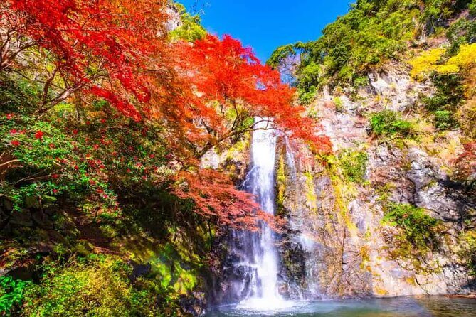 Katsuo-ji Temple, Arashiyama Forest, & Nara Park - What $91.65 buys you (and what it doesn’t)