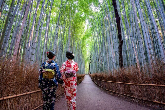 Katsuo-ji Temple, Arashiyama Forest, & Nara Park - How the guiding feels in real life: transport plus freedom