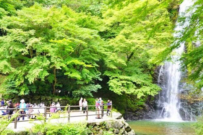 Katsuo-ji Temple, Arashiyama Forest, & Nara Park - Logistics that make or break the day