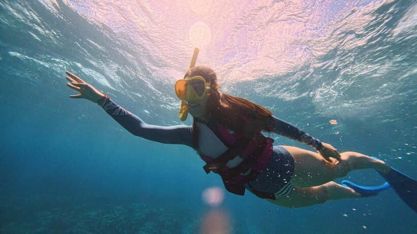 Kerama Half-Day Snorkeling Tour - Check-in and getting aboard at Naha Miegusuku Port