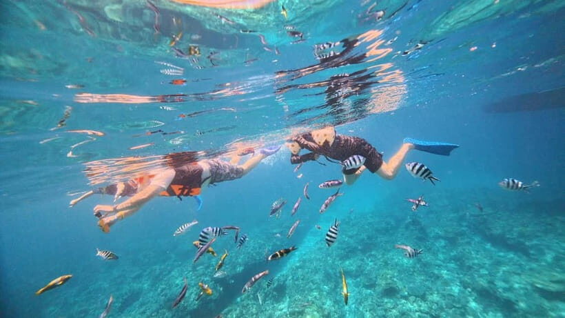 Kerama Half-Day Snorkeling Tour - Life jackets required: safety first, freedom second
