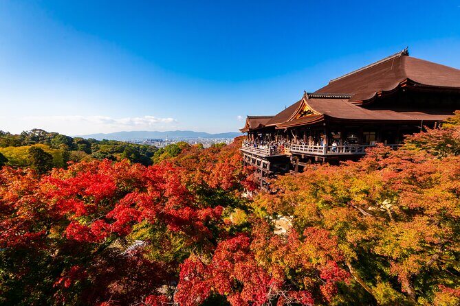 Kiyomizu Temple and Backstreets of Gion, Half Day Group Tour - Key points worth showing up for