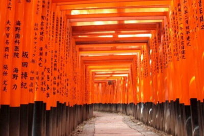 KIYOTO’s Kyoto Private Tour: Highlights & Hidden Gems - Starting in Kyoto: Pickup, Short Transfers, and a Realistic Pace
