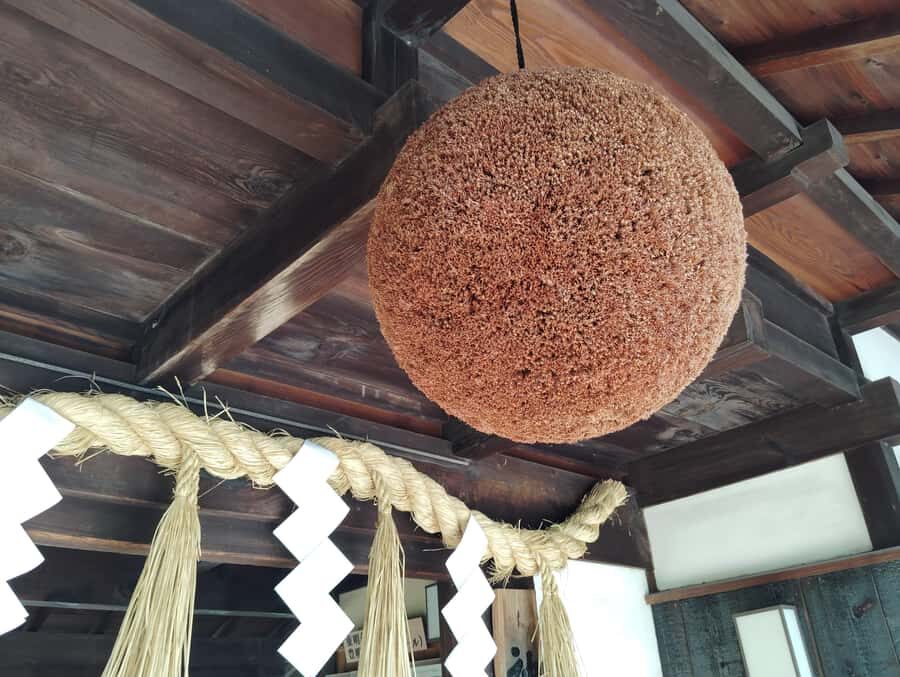 Kobe: 3-Hour Sake Breweries Tour with Special Tasting - Tastings that actually teach you how to compare