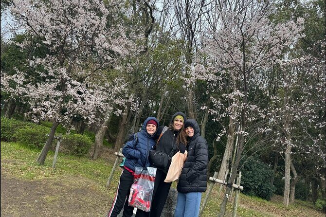 Kobe Guided Tour Including Port Area and Arima Onsen Town - Motomachi Station Start: What to Expect Before You Walk