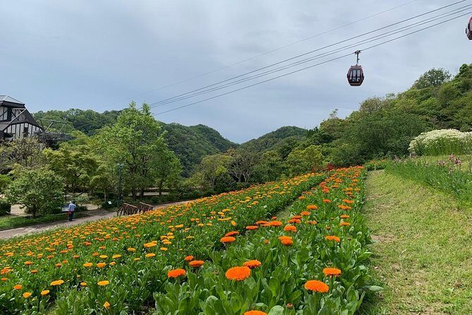 Kobe private tour from Osaka (Shore excursion available from Osaka or Kobe port) - Kobe Harborland: Waterfront Break for Snacks, Shopping, and Reset Time