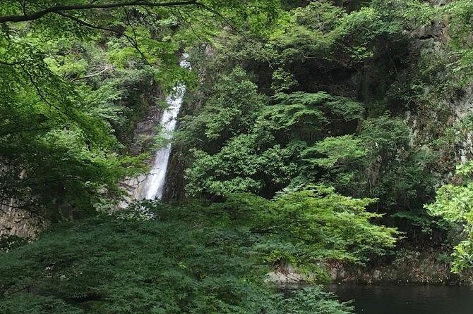 Kobe private tour from Osaka (Shore excursion available from Osaka or Kobe port) - Kitano Ijinkan (Kitano Museum Area): Western Houses and Kobe’s Backstory