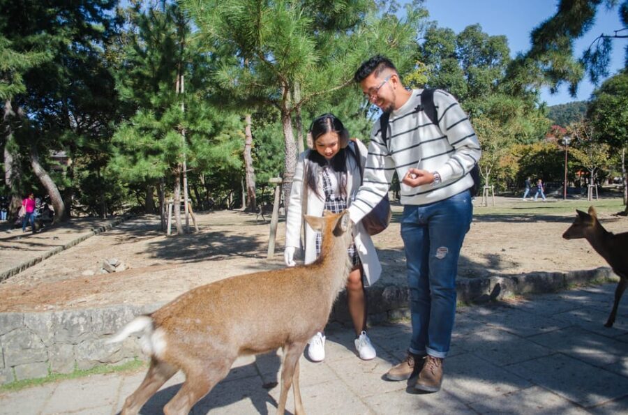 Kobe: Private Walking Shore Excursion- Kyoto/Osaka/Nara/Kobe - Nara Park and Todaiji: Deer Encounters and the Big Buddha Moment