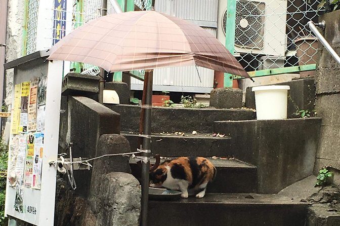 KOBE, SHIOYA, a quaint fishing town walking tour - The Old Guggenheim House: Colonial Architecture Over the Shioya Coast