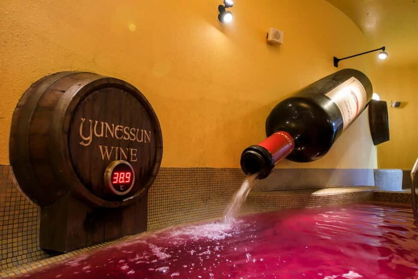 Kowakien Yunessun Hot Springs Entry Ticket - Swimwear-Onsen in Hakone: what Yunessun feels like