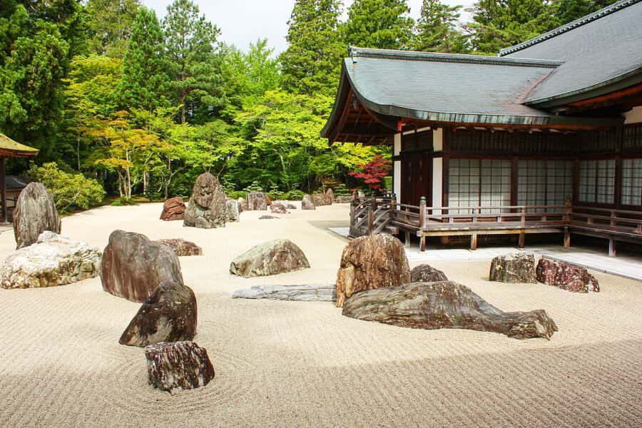 Koyasan: A Mysterious Meditation Journey - Key points to know before you go