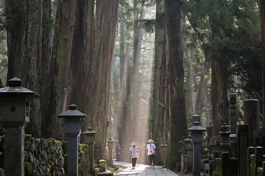Koyasan: A Mysterious Meditation Journey - Danjo Garan Sacred Temple and Koyasan Reihokan Museum