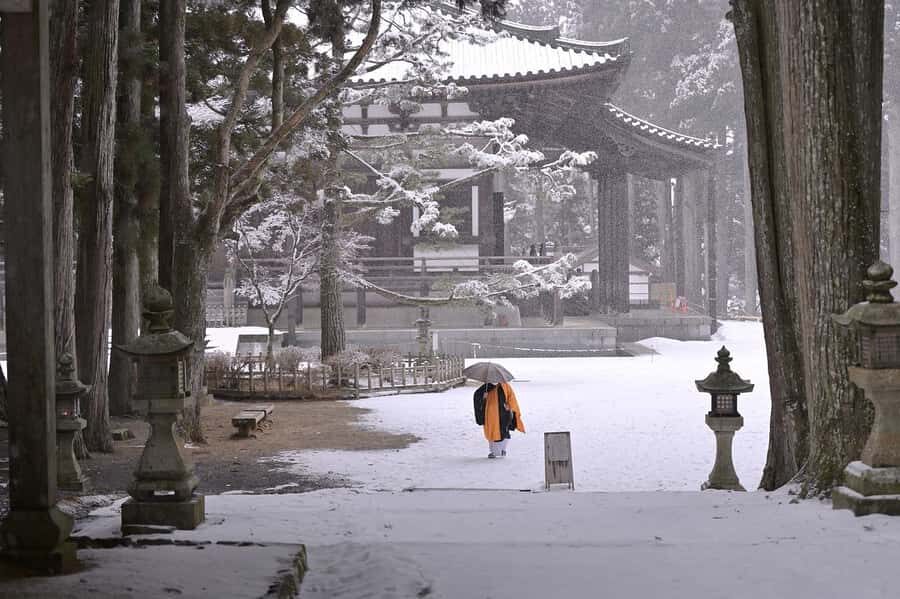 Koyasan: A Mysterious Meditation Journey - The practical value: private transport that saves your energy
