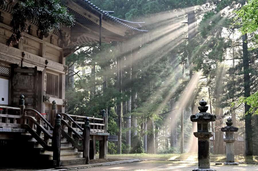 Koyasan: A Mysterious Meditation Journey - A word on communication and language support