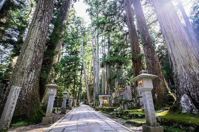 Koyasan Day Trip by Private Car from Osaka - A Real-World Schedule: What a 10-Hour Day Feels Like