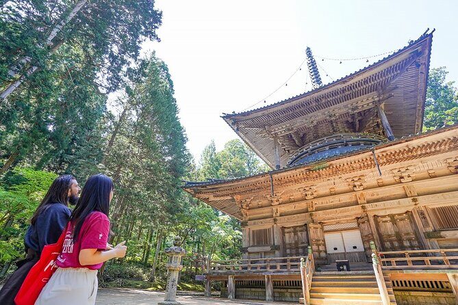 Koyasan Day Trip by Private Car from Osaka - Koyasan Lunch: Shojin Ryori Is the Point, Not Just a Meal