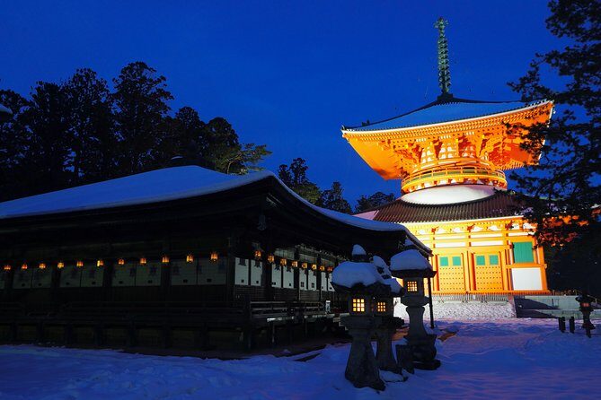 Koyasan Full-Day Private Tour - Kongobu-ji Temple: art on sliding doors and a rock garden