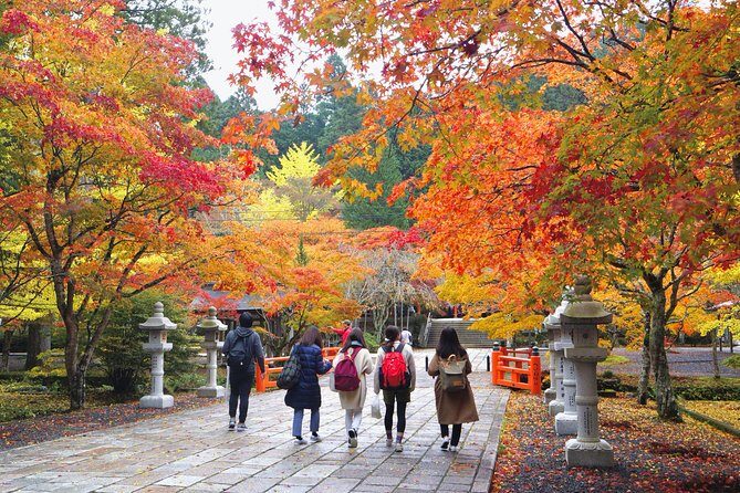 Koyasan Full-Day Private Tour - Cost and value: what your $131.78 buys, and what’s extra
