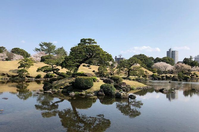 Kumamoto Half-Day Private Tour with Government-Licensed Guide - Choosing your 2–3 stops: Kumamoto highlights that fit real time