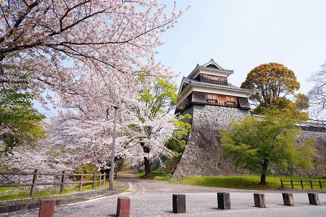Kumamoto Private Customizable Full Day Tour - Getting picked up at Kumamoto Station and what to expect timing-wise