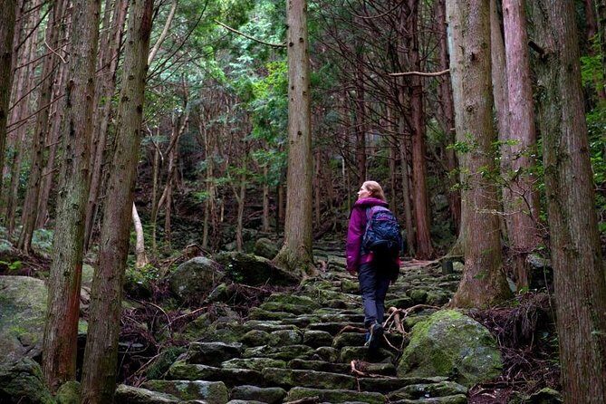 Kumano Kodo Pilgrimage Full-Day Private Trip with Government Licensed Guide - Key highlights worth getting excited about