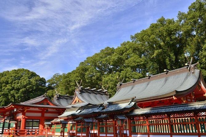 Kumano Kodo Pilgrimage Full-Day Private Trip with Government Licensed Guide - Government-licensed English guidance (and why it changes the whole day)
