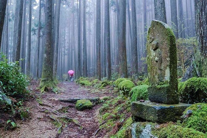 Kumano Kodo Pilgrimage Full-Day Private Trip with Government Licensed Guide - Stop 2: Kumano Nachi Taisha—shrine presence with coastal ties