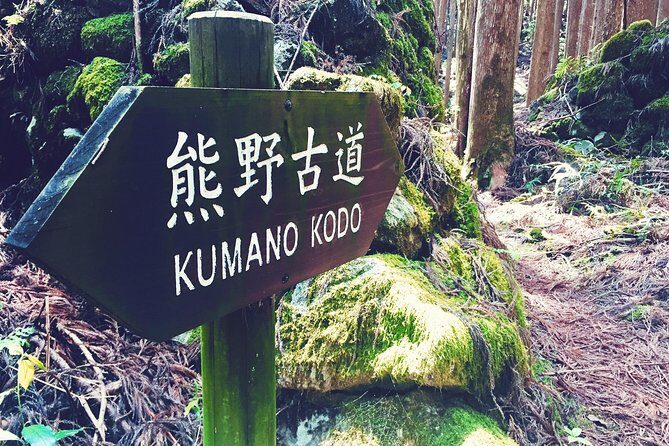 Kumano Kodo Pilgrimage Full-Day Private Trip with Government Licensed Guide - Stop 3: Nachi Mitaki Falls—Japan’s 133-meter drop