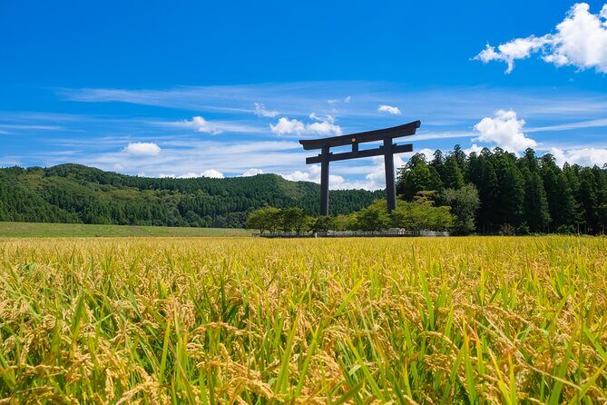 Kumano Kodo Pilgrimage Tour with Licensed Guide & Vehicle - Private pickup and pacing: how an 8-hour schedule really works