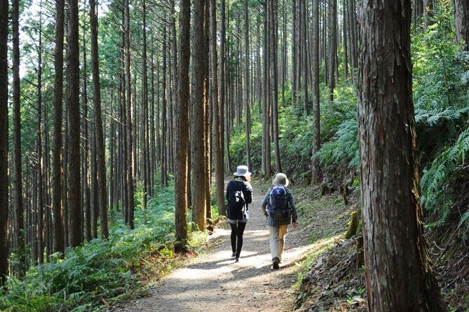 Kumano Kodo Pilgrimage Tour with Licensed Guide & Vehicle - Kyushachi Oyunohara: the huge torii and the flood that changed the site