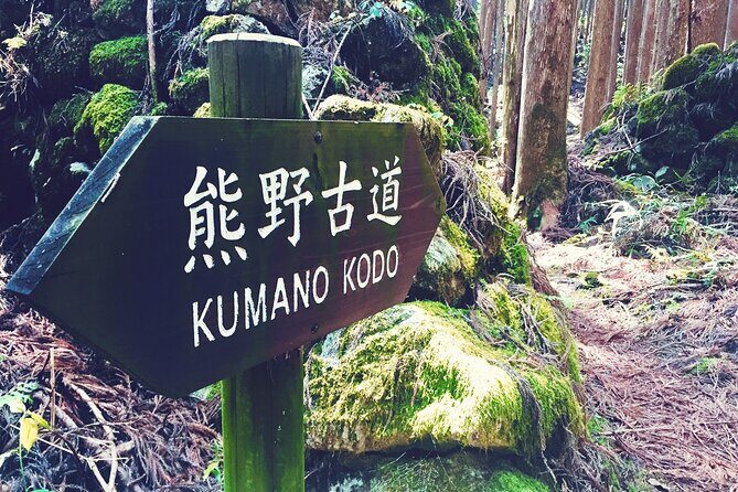 Kumano Kodo Pilgrimage Tour with Licensed Guide & Vehicle - Kumano Hayatama Taisha: Shingu’s coastal-side shrine energy