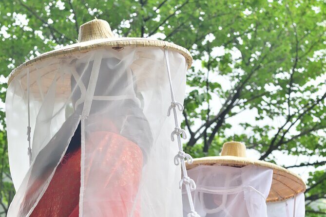 Kumano Kodo Pilgrimage Tour with Licensed Guide & Vehicle - Kumano Nachi Taisha and the approach to Nachi Mitaki Falls
