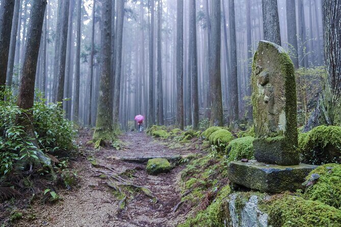 Kumano Kodo Pilgrimage Tour with Licensed Guide & Vehicle - What the guide and driver add (and why it matters)